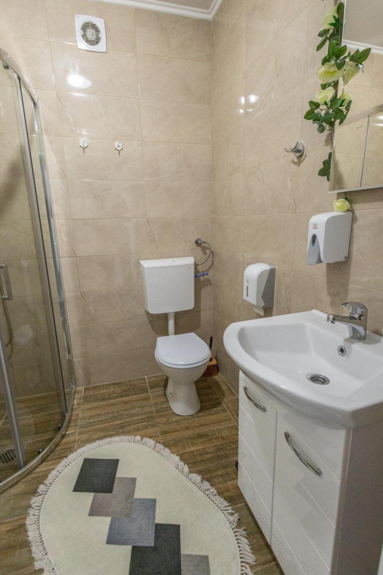 Apartman Albijanic Apartman Kamanc Kültér fotó